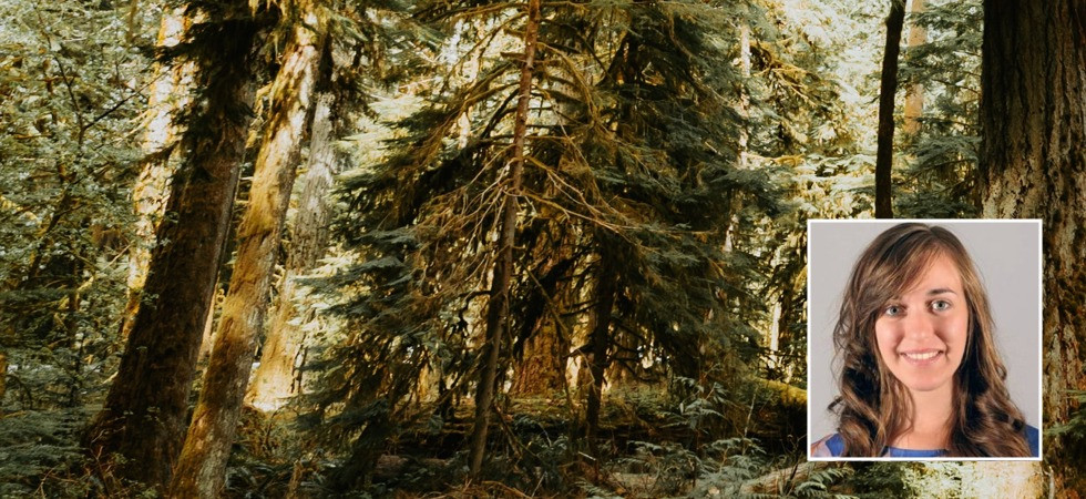 Preservare l'ambiente e il patrimonio naturale, la proposta di Europa Verde